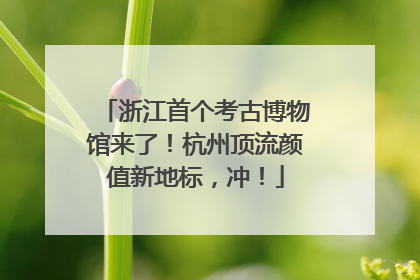 浙江首个考古博物馆来了！杭州顶流颜值新地标，冲！